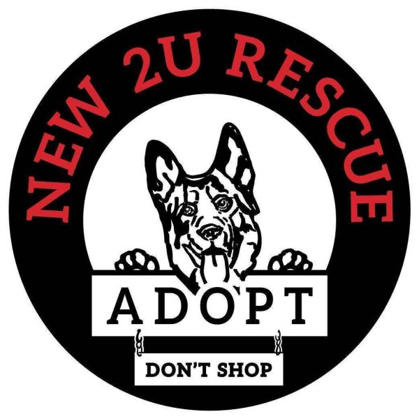 New2U Rescues