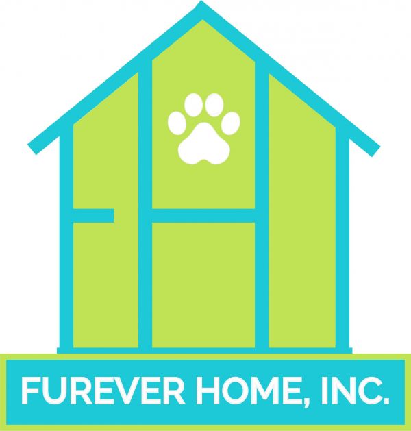 FurEver Home Inc