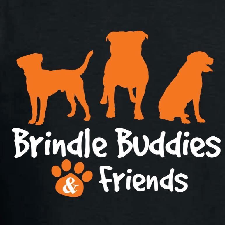 Brindle Buddies and Friends