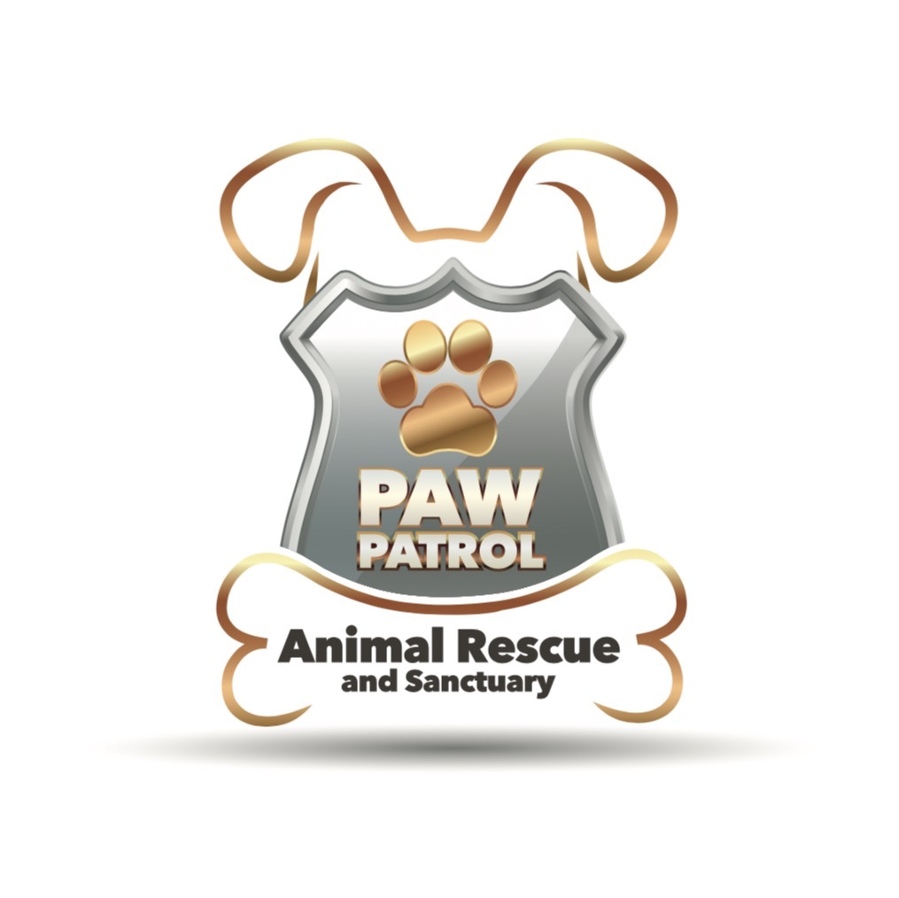 Pets for Adoption at Paw Patrol Animal Rescue and Sanctuary in