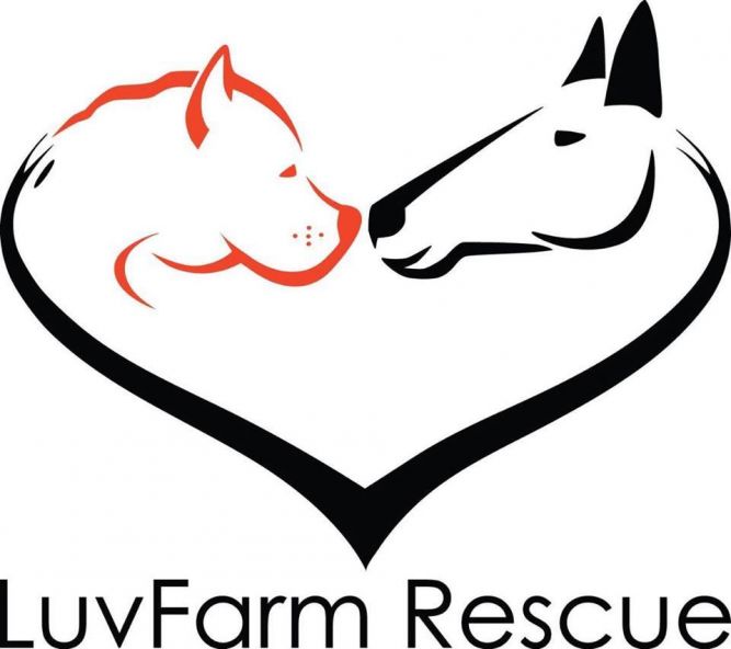 LuvFarm Rescue