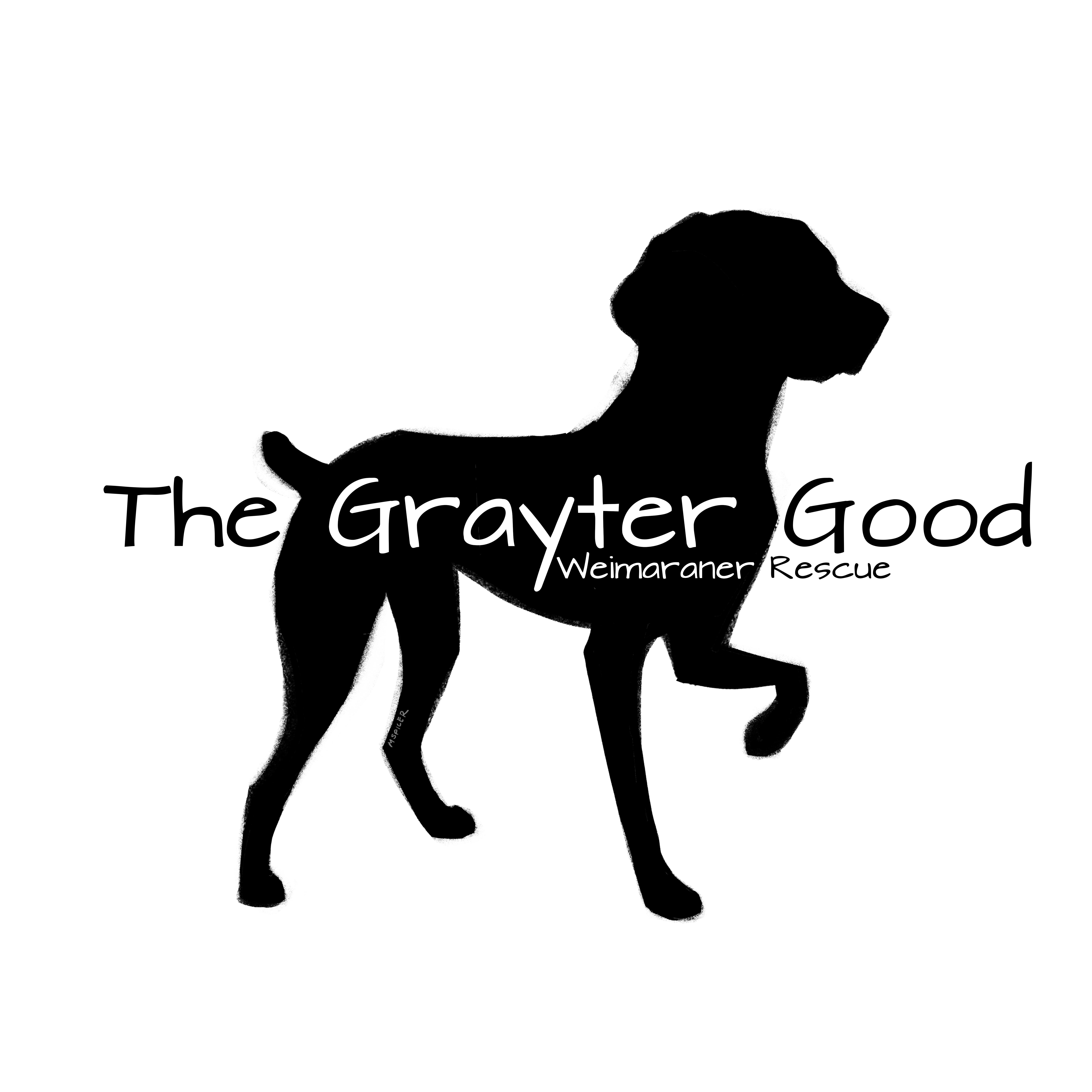 The Grayter Good Weimaraner Rescue