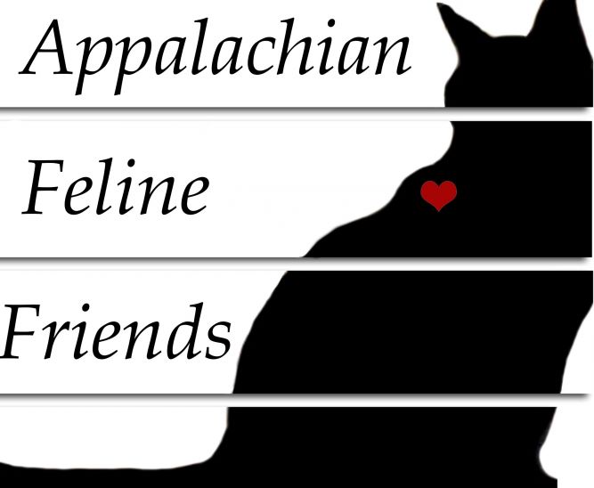 Appalachian Feline Friends
