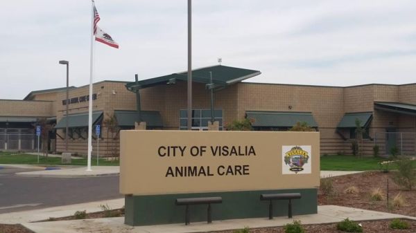 Visalia Animal Care Center