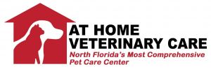 At Home Veterinary Care