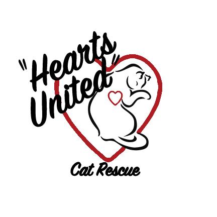 Hearts United Cat Rescue