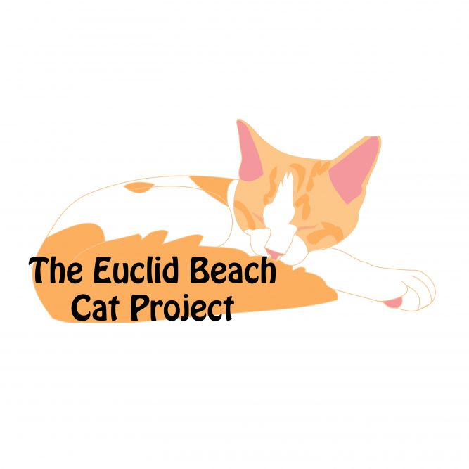 The Euclid Beach Cat Project