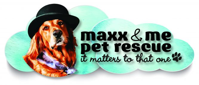 Maxx and Me Pet Rescue