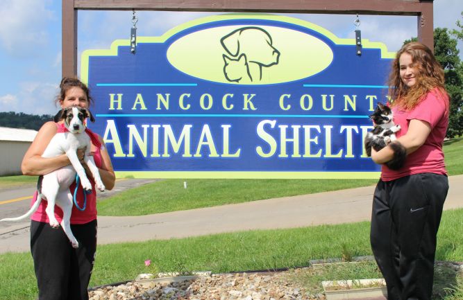 Hancock County Animal Shelter