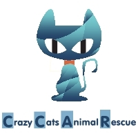 Crazy Cats Animal Rescue