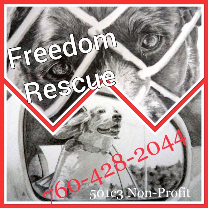 Freedom Rescue, Inc