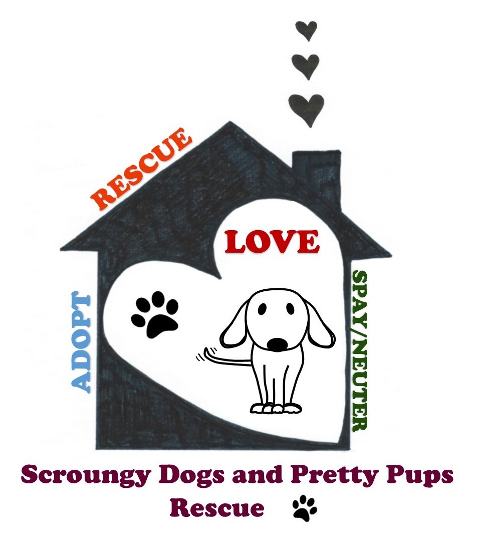 Scroungy Dogs and Pretty Pups Rescue