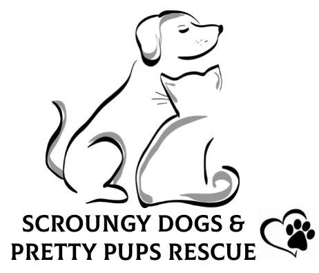 Scroungy Dogs and Pretty Pups Rescue