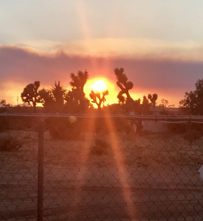 Luna Siberian Rescue