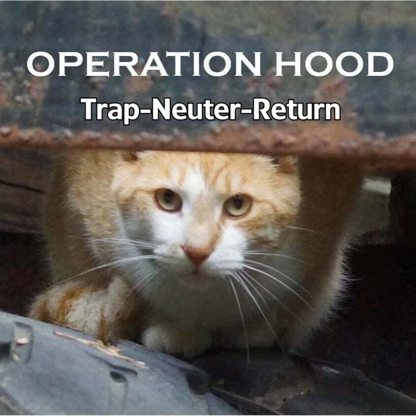 Operation Hood Inc.