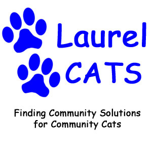 Laurel Cats