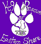 K-9 Rescue of the Eastern Shore