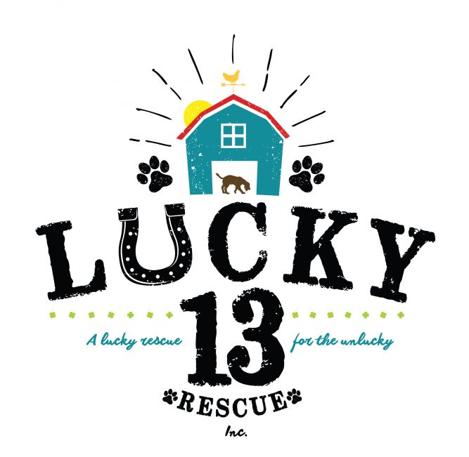 Lucky 13 Rescue Inc.