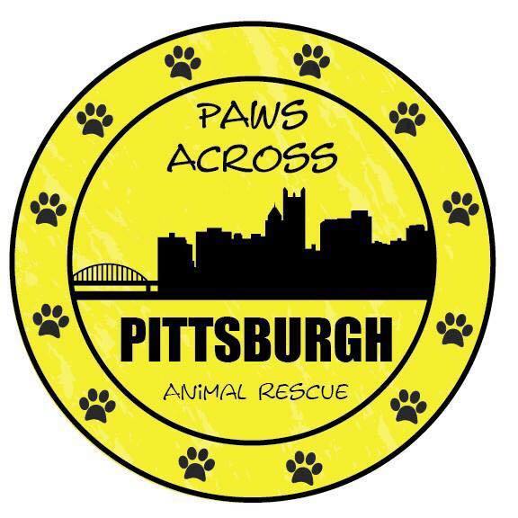 Pets for Adoption at Paws Across Pittsburgh, in Springdale, PA Petfinder