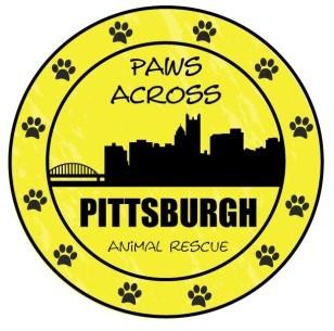 Paws Across Pittsburgh