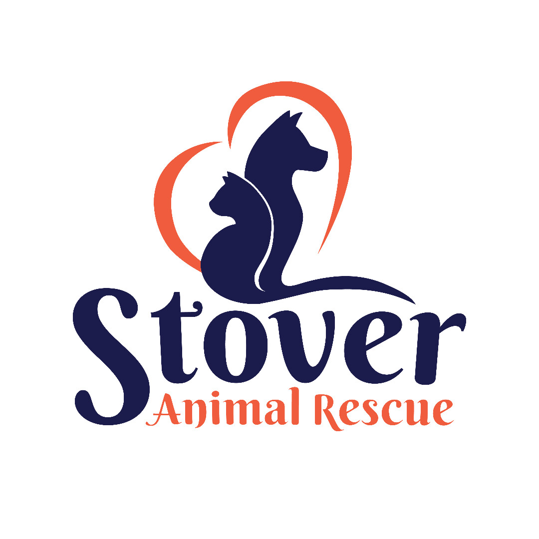 starfish animal rescue petfinder