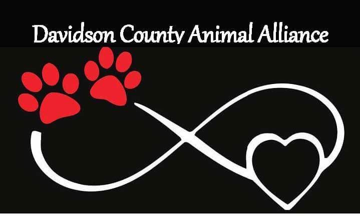 Davidson County Animal Alliance