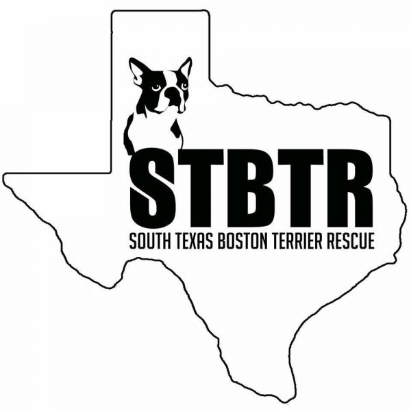 South Texas Boston Terrier Rescue