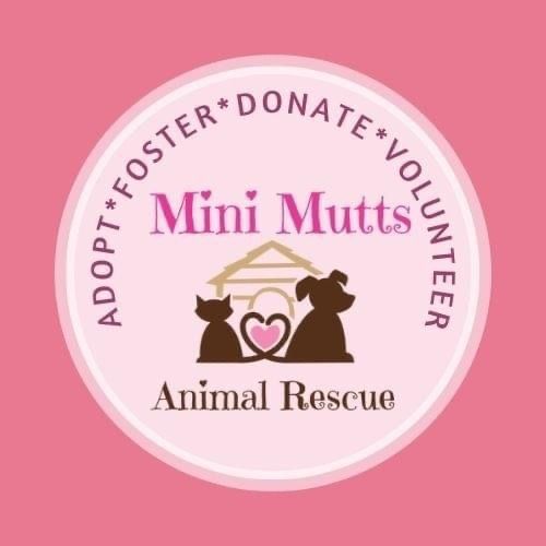 Mini Mutts Animal Rescue