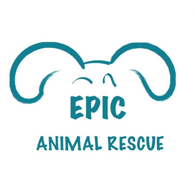 Epic Animal Rescue