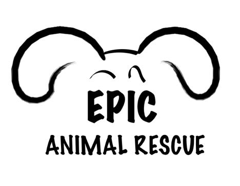 Epic Animal Rescue