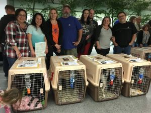 A Better Chance Rescue