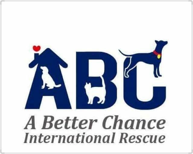 A Better Chance Rescue