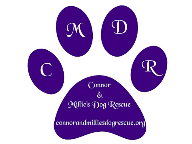 Connor and Millie's Dog Rescue CMDR