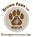 Brown Paws Rescue