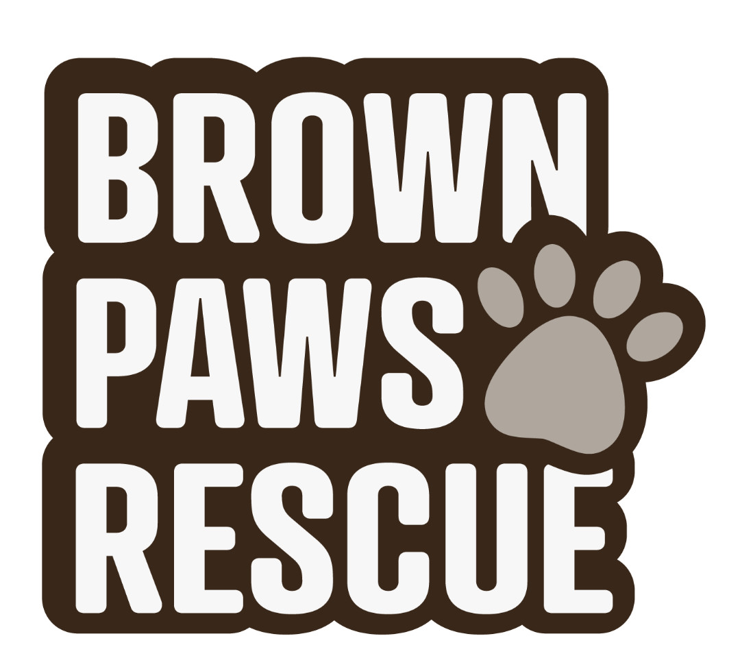 Brown Paws Rescue