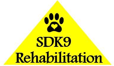S&D K9 Rehabilitation