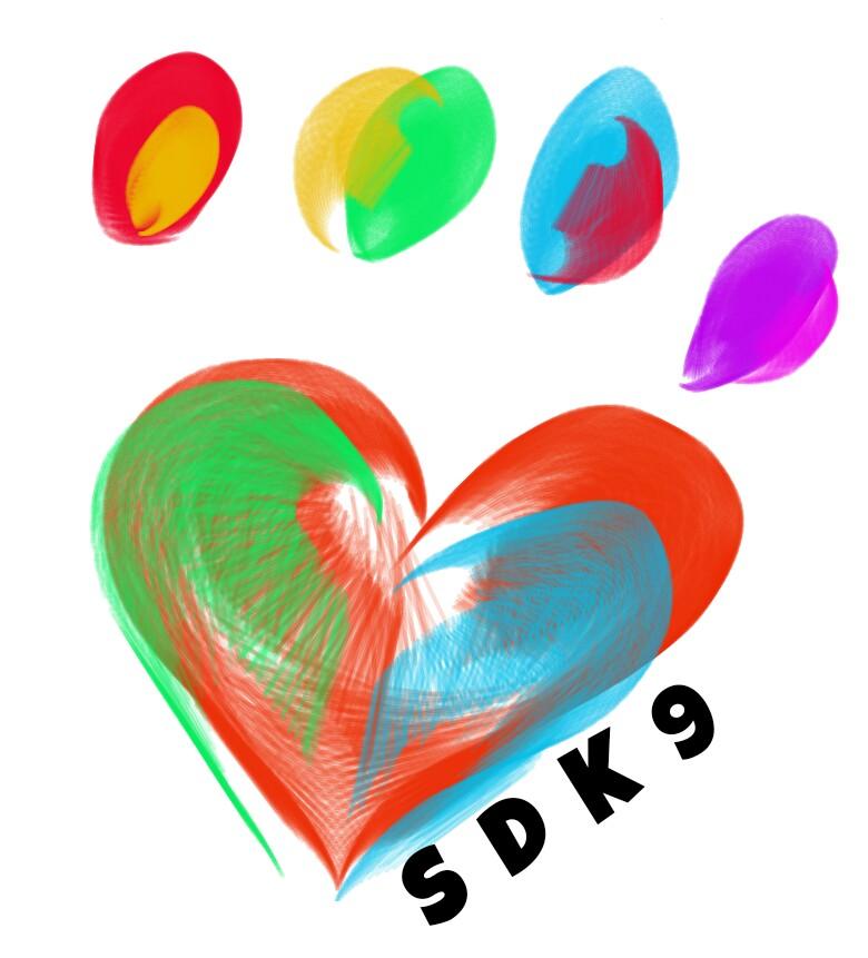 S&D K9 Rehabilitation