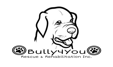 Bully4You Rescue And Rehabilitation Inc.