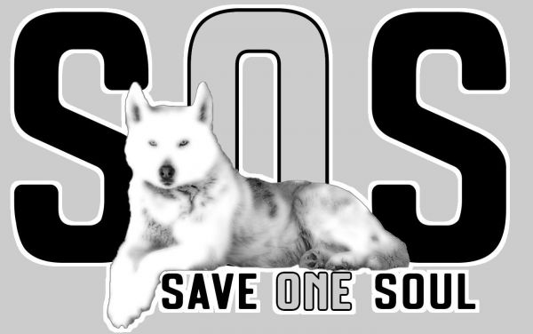 Save One Soul