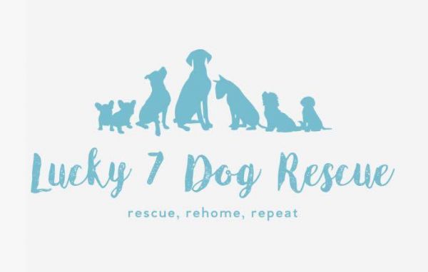 Lucky 7 Dog Rescue
