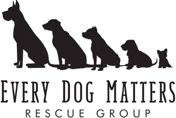 Every Dog Matters Rescue Group