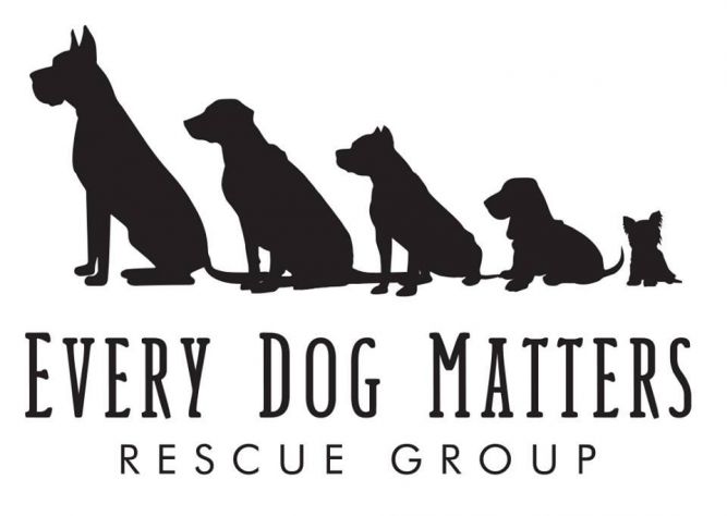 Every Dog Matters Rescue Group