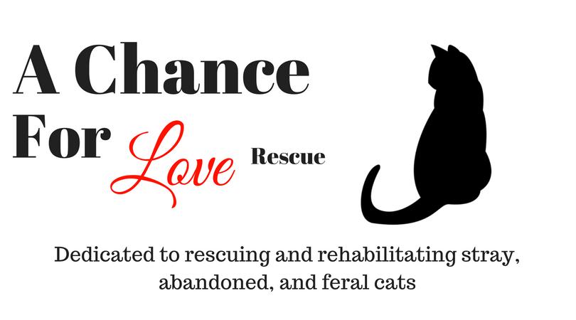 A Chance for Love Rescue