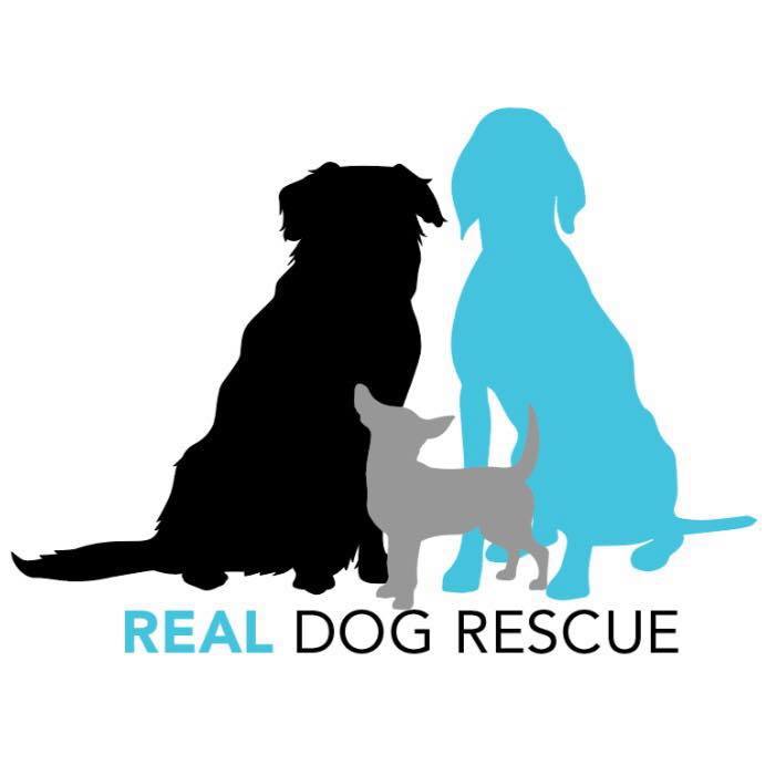 Pets for Adoption at Real Dog Rescue, Inc., in Oakland, NJ ...