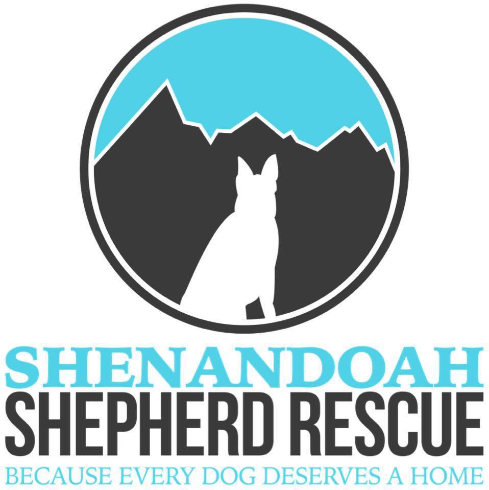 Adoption at Shenandoah Shepherd Rescue 