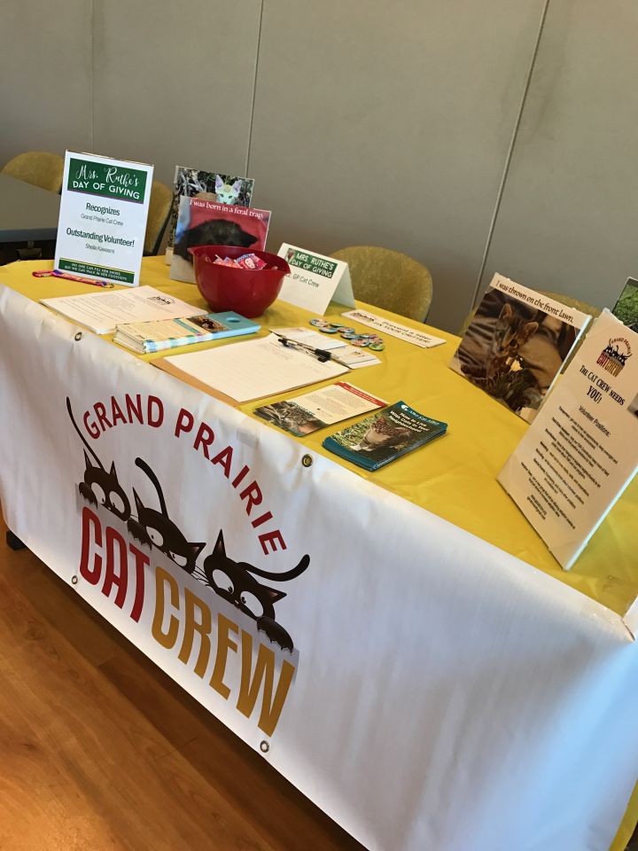 Pets for Adoption at Grand Prairie Cat Crew, in Grand Prairie, TX