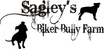 This crazy place we call home