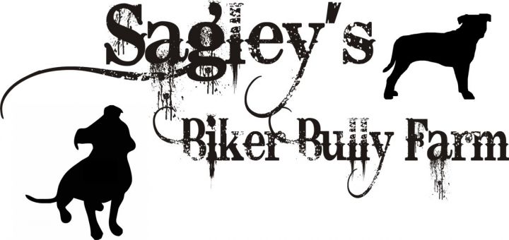 This crazy place we call home