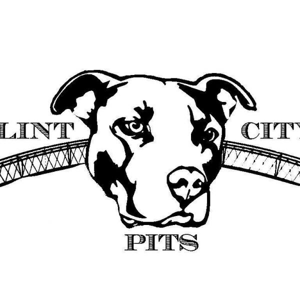 Flint City Pits