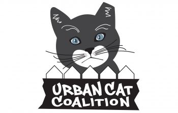 Urban Cat Coalition | Milwaukee, WI